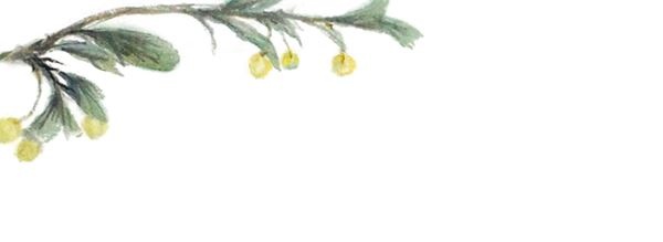 Иллюстрация к книге — Китайские мифы для детей [i_026.jpg]