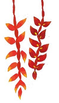 Иллюстрация к книге — Мифы со всего света для детей [i_020.jpg]