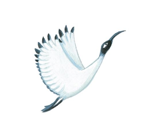 Иллюстрация к книге — Мифы со всего света для детей [i_046.jpg]