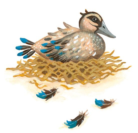 Иллюстрация к книге — Мифы со всего света для детей [i_065.jpg]