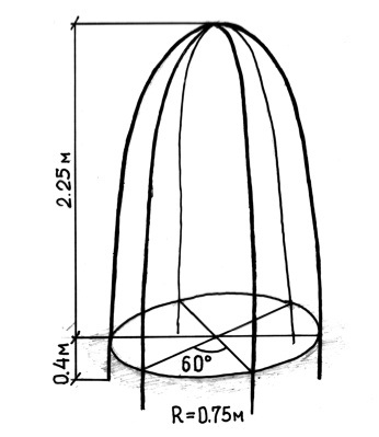 Иллюстрация к книге — Теплица-коммуналка. Как вырастить высокие урожаи томатов, перца, баклажанов и огурцов под одной крышей [i_006.jpg]