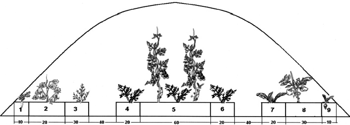Иллюстрация к книге — Теплица-коммуналка. Как вырастить высокие урожаи томатов, перца, баклажанов и огурцов под одной крышей [i_016.jpg]