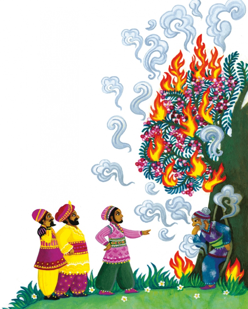 Иллюстрация к книге — Индийские мифы для детей [i_064.jpg]