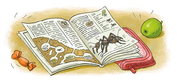 Иллюстрация к книге — Светлик Тучкин и украденные каникулы [i_023.jpg]