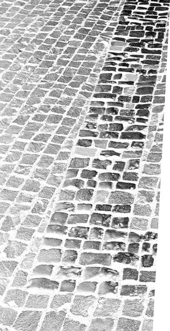 Иллюстрация к книге — Смерть Гитлера [i_012.jpg]