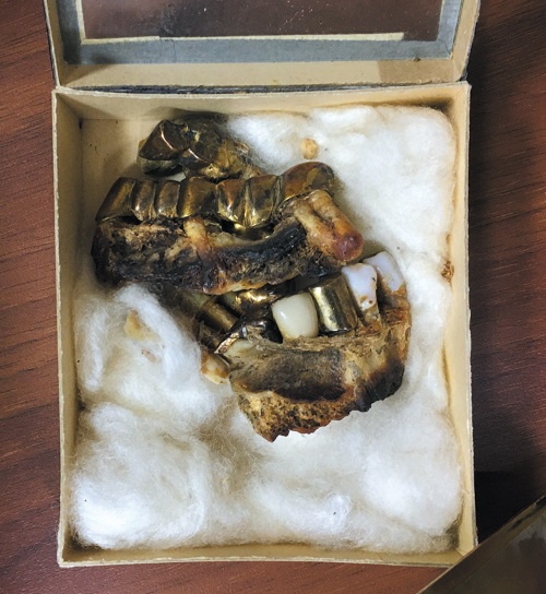 Иллюстрация к книге — Смерть Гитлера [i_048.jpg]