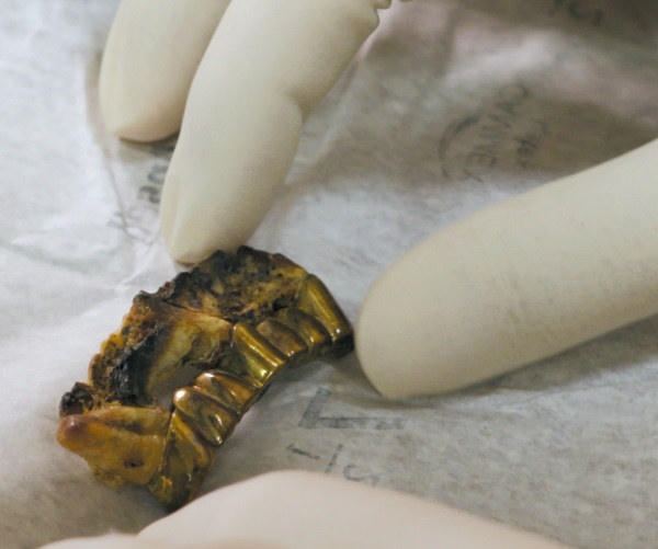 Иллюстрация к книге — Смерть Гитлера [i_049.jpg]