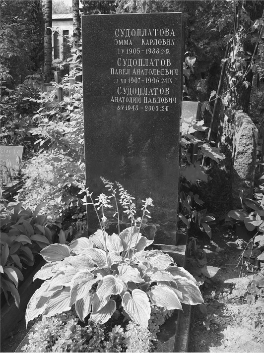 Иллюстрация к книге — Разведка и Кремль. Записки нежелательного свидетеля [i_228.jpg]