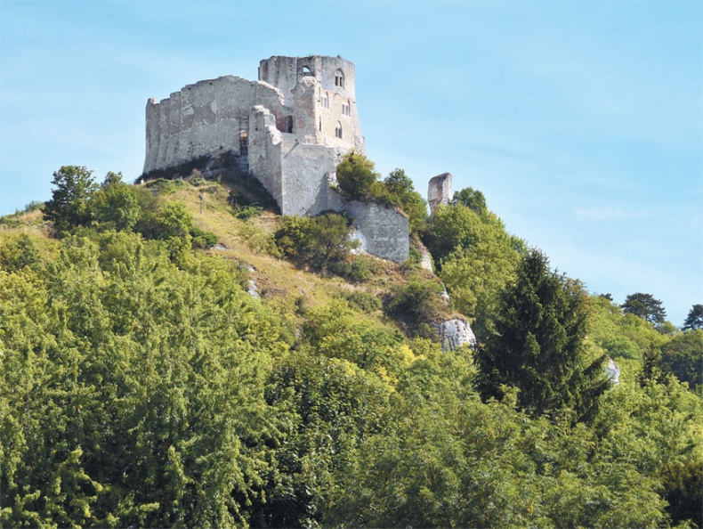 Иллюстрация к книге — Главная война Средневековья. Леопард против лилии [i_031.jpg]