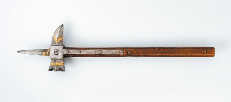 Иллюстрация к книге — Главная война Средневековья. Леопард против лилии [i_033.jpg]