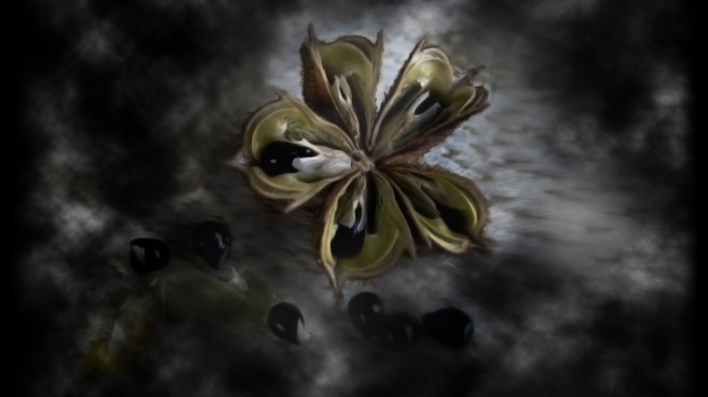 Иллюстрация к книге — Хищники [_20.jpg]