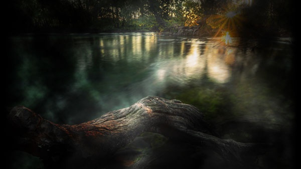 Иллюстрация к книге — Травоядные [_1.jpg]