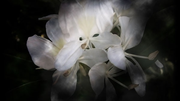 Иллюстрация к книге — Травоядные [_30.jpg]