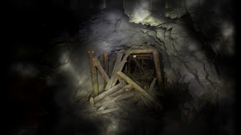 Иллюстрация к книге — Птицы [_11.jpg]