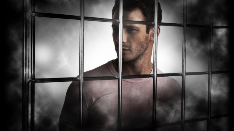 Иллюстрация к книге — Птицы [_19.jpg]