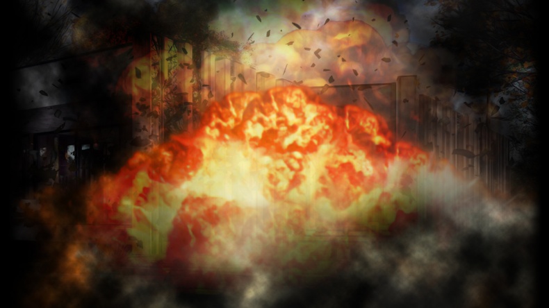 Иллюстрация к книге — Птицы [_22.jpg]