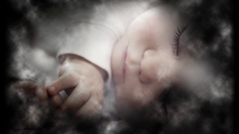 Иллюстрация к книге — Птицы [_25.jpg]