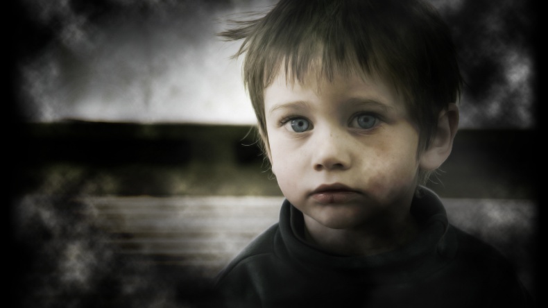 Иллюстрация к книге — Птицы [_7.jpg]