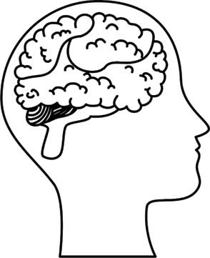 Иллюстрация к книге — Твоя жизнь до рождения: тайны эволюции человека [i_045.jpg]