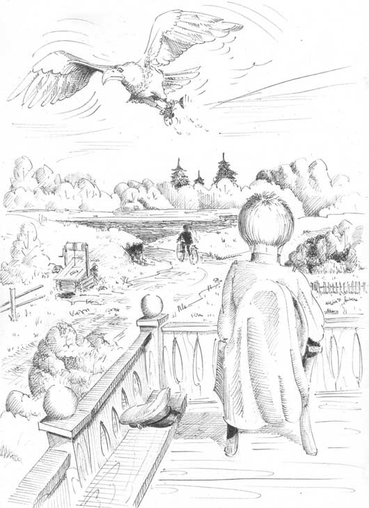 Иллюстрация к книге — Удивительные истории о мужчинах [i_015.jpg]