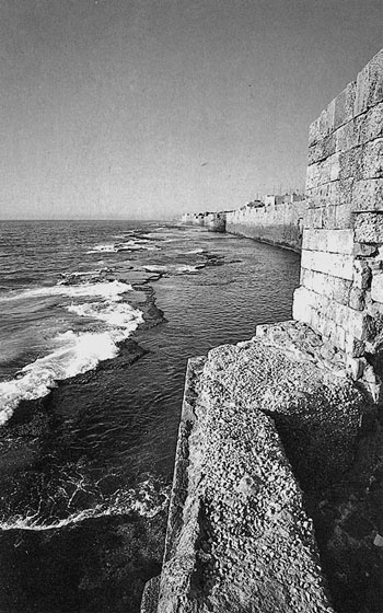 Иллюстрация к книге — Израиль. Путешествие за впечатлением и здоровьем [i_028.jpg]