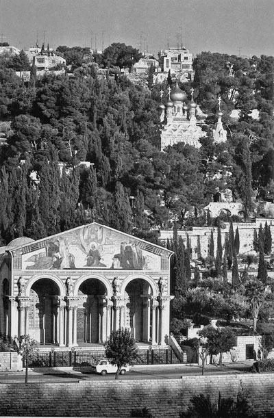 Иллюстрация к книге — Израиль. Путешествие за впечатлением и здоровьем [i_046.jpg]