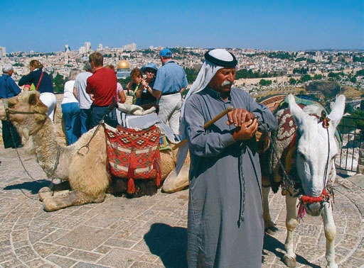 Иллюстрация к книге — Израиль. Путешествие за впечатлением и здоровьем [i_092.jpg]