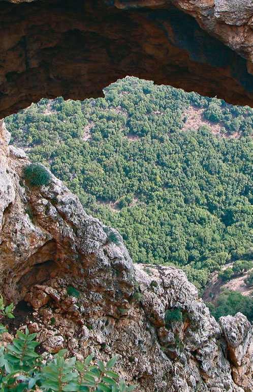 Иллюстрация к книге — Израиль. Путешествие за впечатлением и здоровьем [i_102.jpg]