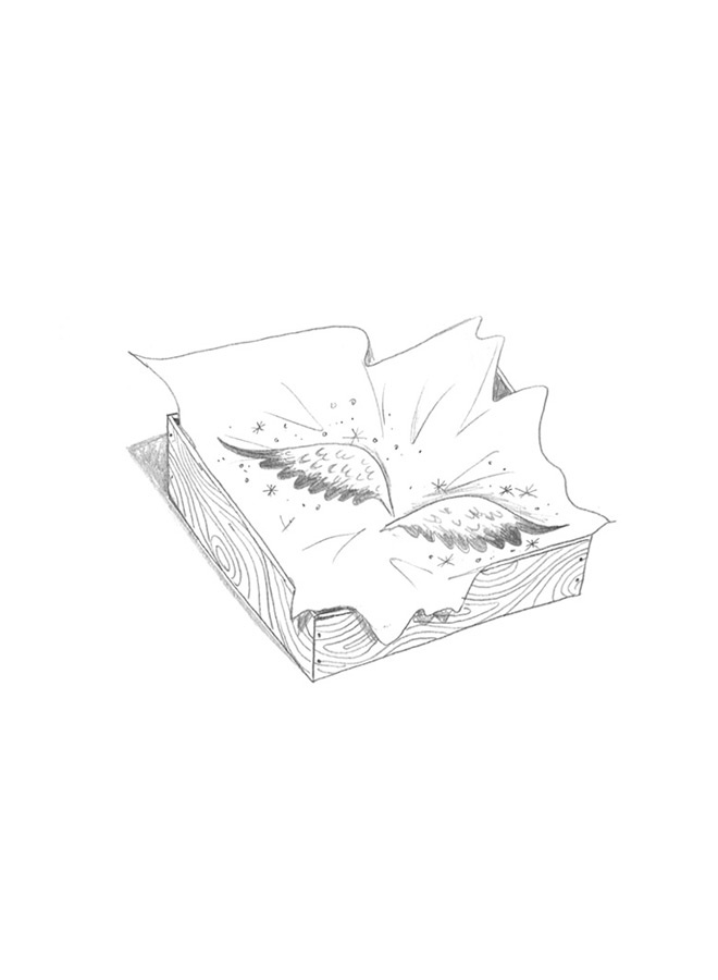 Иллюстрация к книге — Ангелино Браун [i_093.jpg]