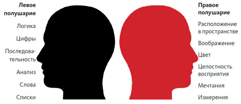 Иллюстрация к книге — Интеллект-карты [i_002.jpg]