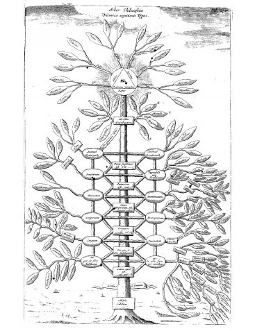 Иллюстрация к книге — Интеллект-карты [i_012.jpg]
