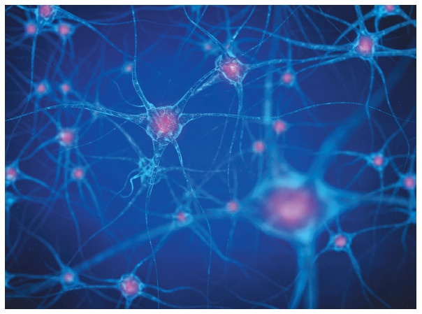 Иллюстрация к книге — Интеллект-карты [i_017.jpg]