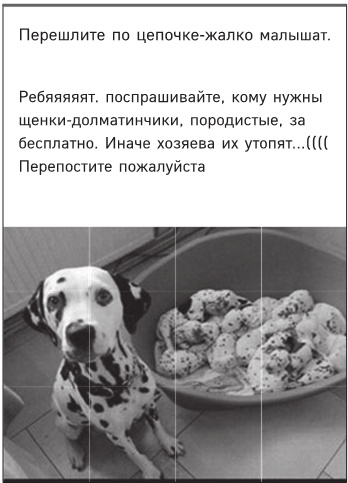 Иллюстрация к книге — Цифровой этикет. Как не бесить друг друга в интернете [i_041.jpg]