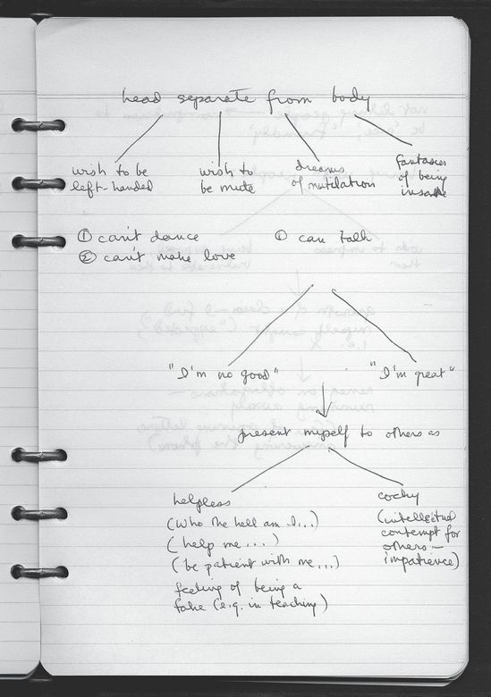 Иллюстрация к книге — Susan Sontag. Женщина, которая изменила культуру XX века [i_022.jpg]