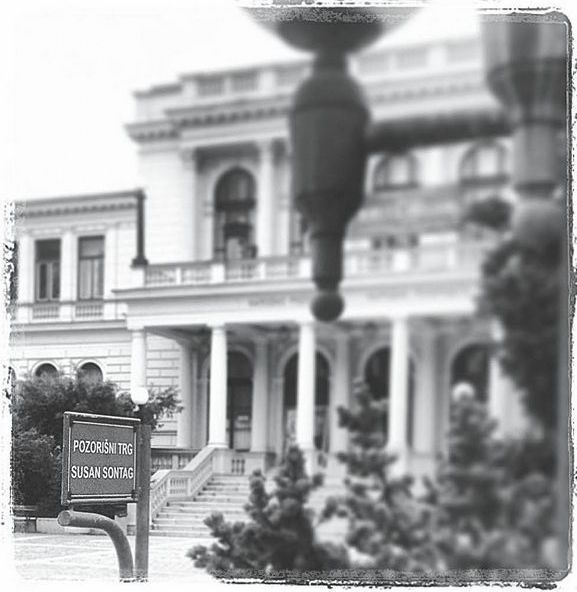 Иллюстрация к книге — Susan Sontag. Женщина, которая изменила культуру XX века [i_071.jpg]