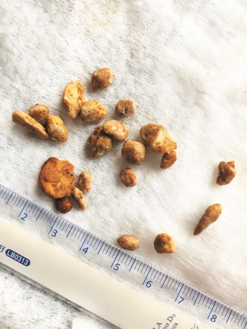 Иллюстрация к книге — Разумный биохакинг Homo Sapiens: физическое тело и его законы [i_014.jpg]