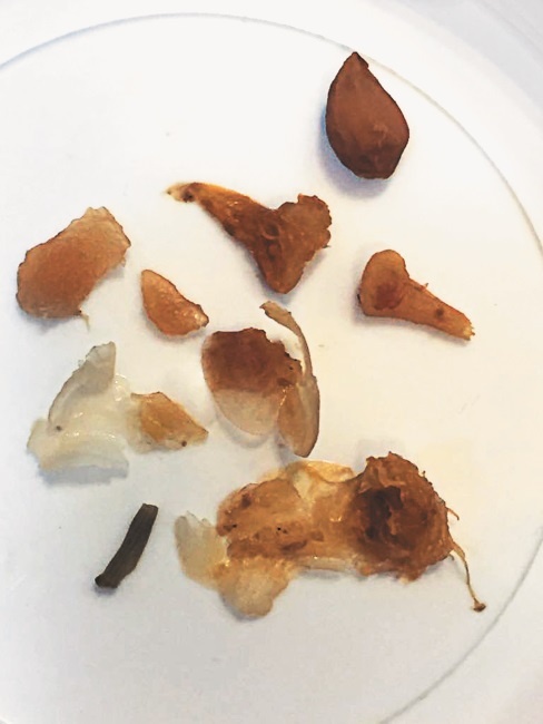 Иллюстрация к книге — Разумный биохакинг Homo Sapiens: физическое тело и его законы [i_022.jpg]