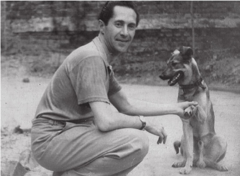 Иллюстрация к книге — Львовский пейзаж с близкого расстояния [i_001.jpg]