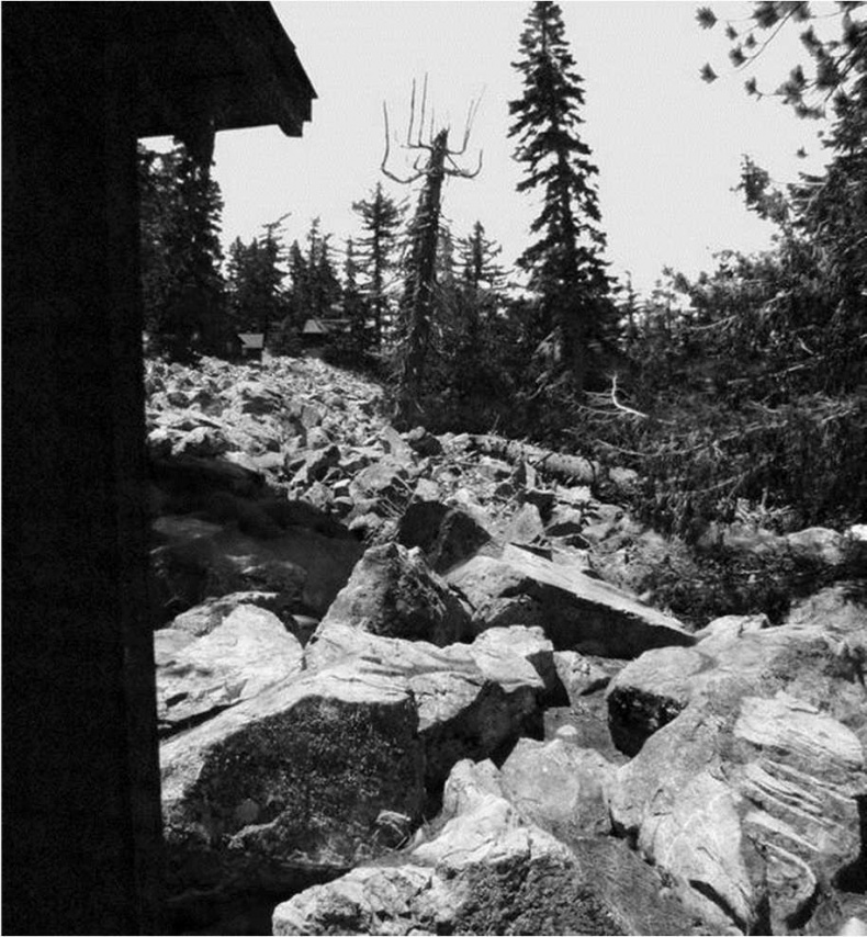 Иллюстрация к книге — Леонард Коэн. Жизнь [i_021.jpg]