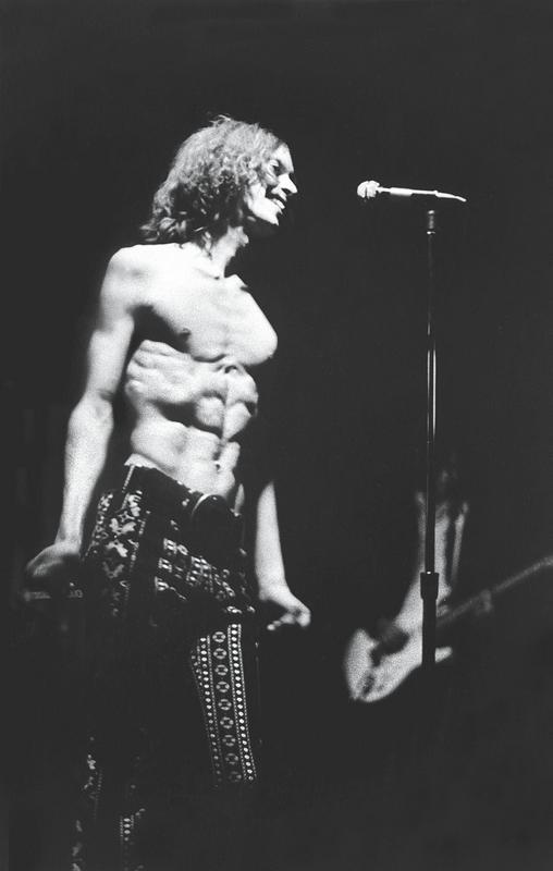 Иллюстрация к книге — Игги Поп. Вскройся в кровь [i_017.jpg]