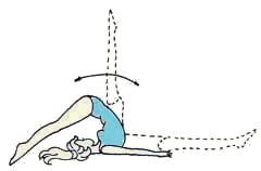 Иллюстрация к книге — Энциклопедия женской красоты и здоровья [i_050.jpg]