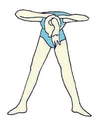 Иллюстрация к книге — Энциклопедия женской красоты и здоровья [i_075.jpg]