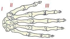 Иллюстрация к книге — Энциклопедия женской красоты и здоровья [i_125.jpg]