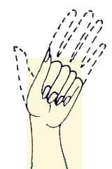 Иллюстрация к книге — Энциклопедия женской красоты и здоровья [i_156.jpg]