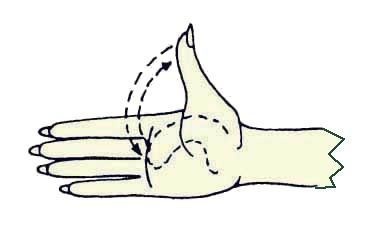 Иллюстрация к книге — Энциклопедия женской красоты и здоровья [i_157.jpg]