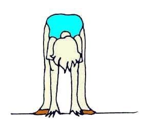 Иллюстрация к книге — Энциклопедия женской красоты и здоровья [i_199.jpg]