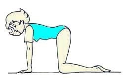 Иллюстрация к книге — Энциклопедия женской красоты и здоровья [i_207.jpg]