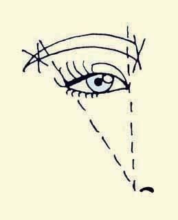 Иллюстрация к книге — Энциклопедия женской красоты и здоровья [i_302.jpg]