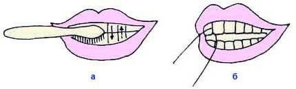 Иллюстрация к книге — Энциклопедия женской красоты и здоровья [i_307.jpg]