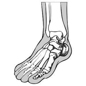 Иллюстрация к книге — Энциклопедия женской красоты и здоровья [i_324.jpg]